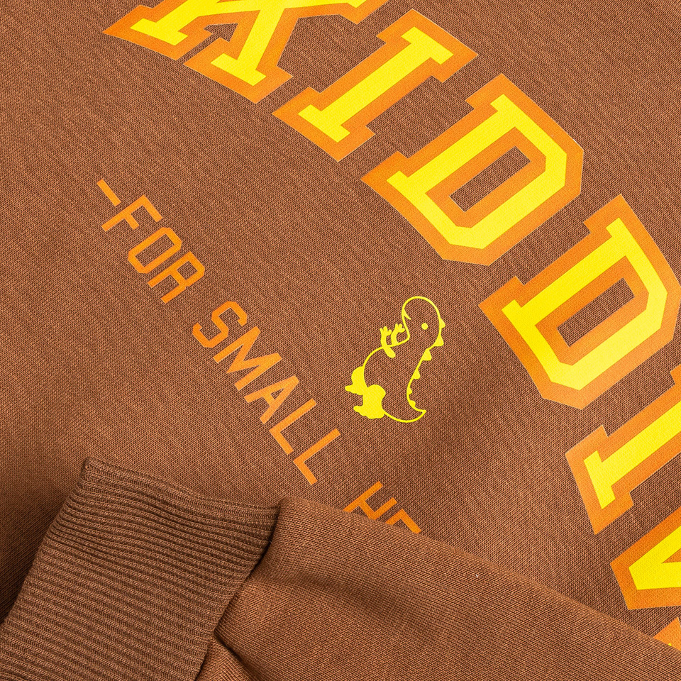 KIDDIN: COLLEGE HOODED SWEATSHIRT